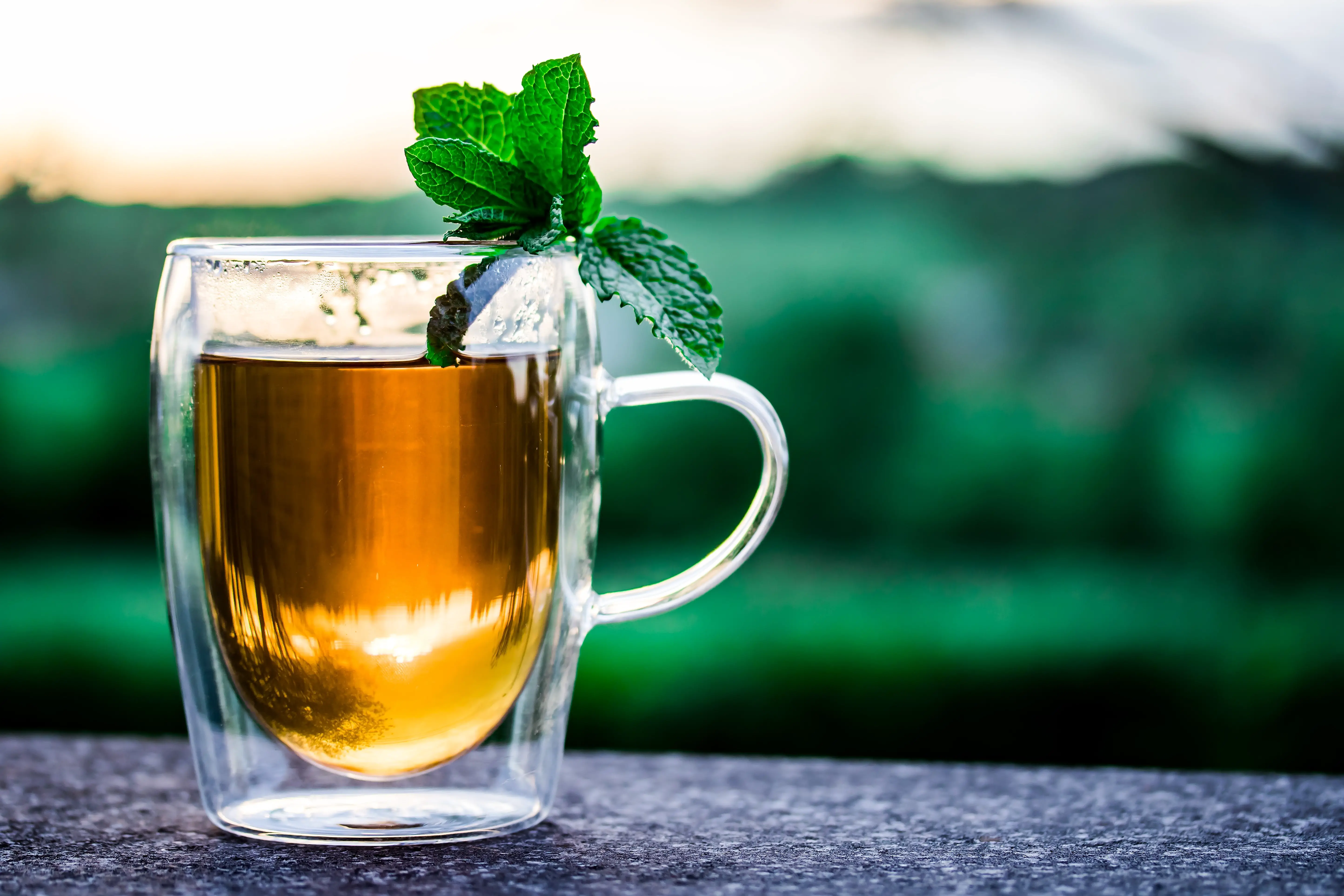 7 Known Green Tea Benefits that You Should know.