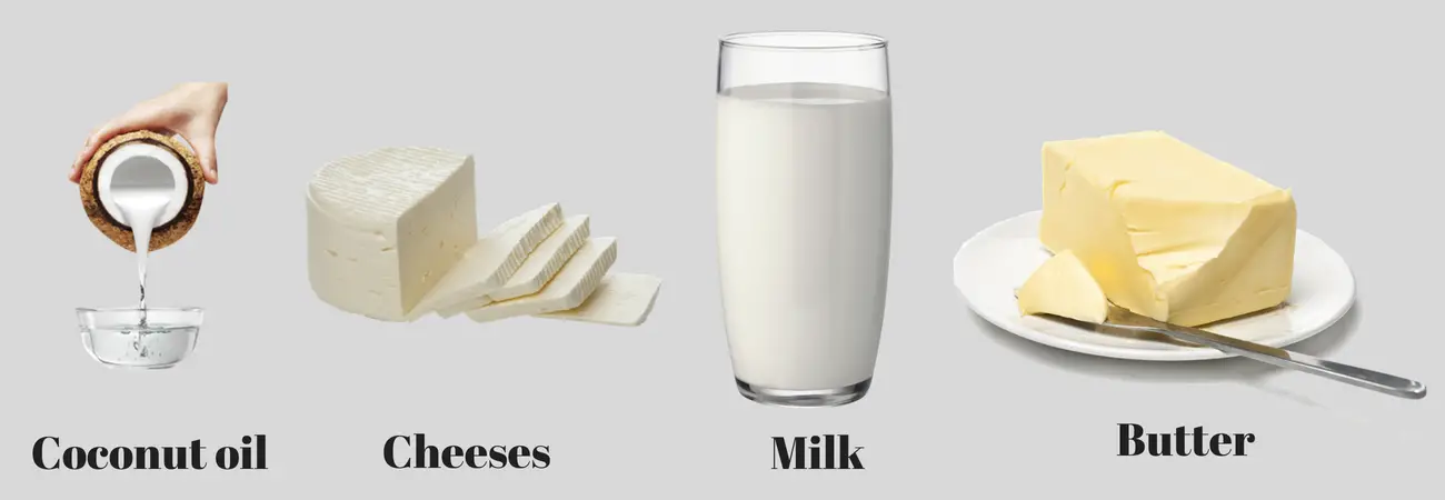 examples-saturated fat