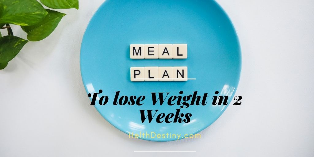Meal Diet Plan to Lose Weight in a week