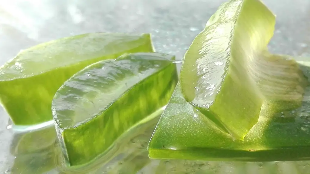 Aloe Vera for Skin,top 10 Benefits,Side effects and more