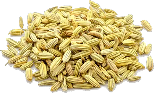 Fennel seeds