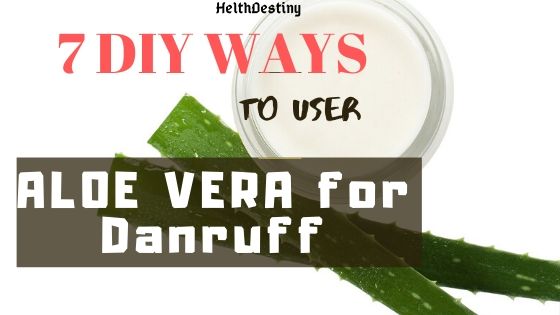Top 7 DIY Aloe Vera recipes to cure Dandruff